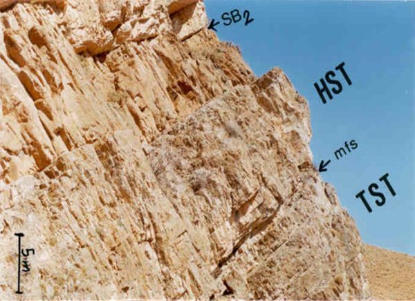 Sedimentological studies